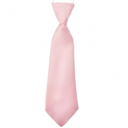 Boys Pale Pink Plain Satin Tie on Elastic